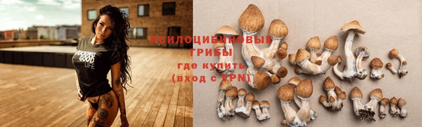 альфа пвп Беломорск