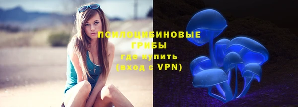 гидропоника Белоозёрский