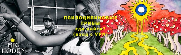 скорость Белокуриха