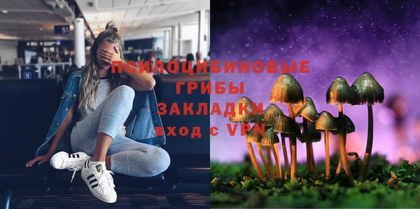 кокс Гусь-Хрустальный