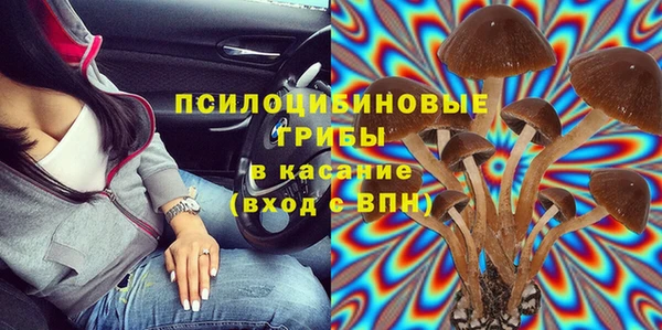 крисы Богданович