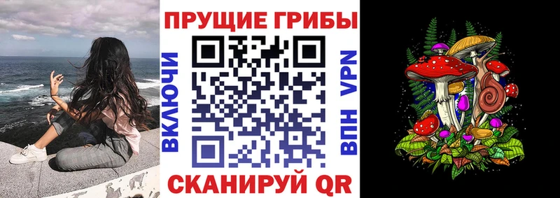 где можно купить наркотик  Мичуринск  Галлюциногенные грибы мицелий 